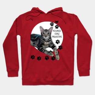 Always Stay Pawsitive Hoodie